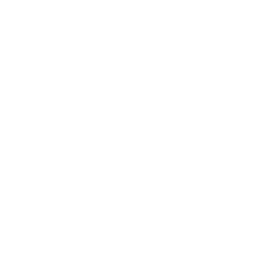 Property & Real Estate Law